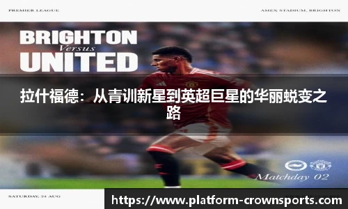 皇冠体育官方网站